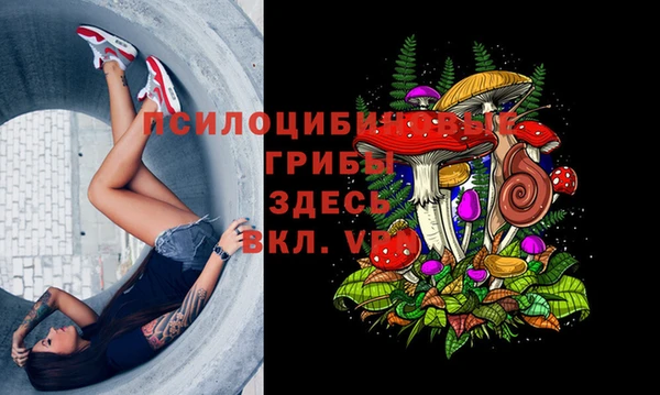 амф Данков