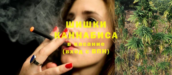 хмурый Дегтярск