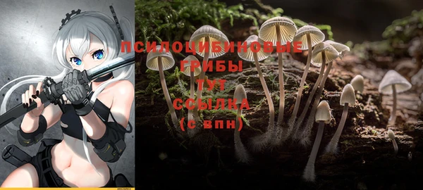 mix Надым