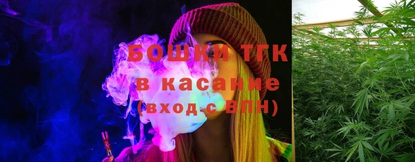 хмурый Дегтярск