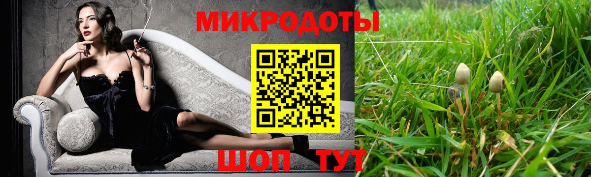Псилоцибиновые грибы Psilocybine cubensis  Вход с VPN  Кандалакша 
