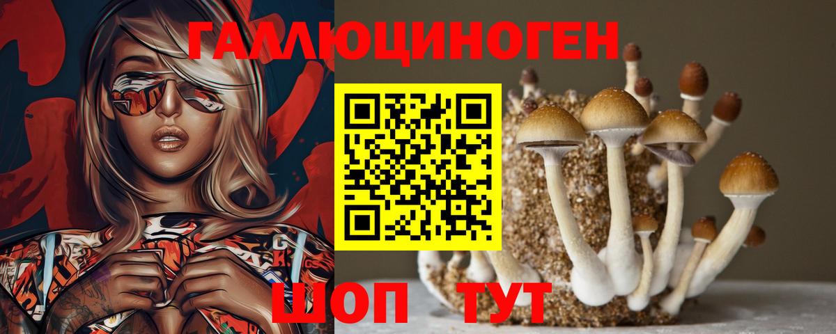 Галлюциногенные грибы Psilocybine cubensis Кандалакша